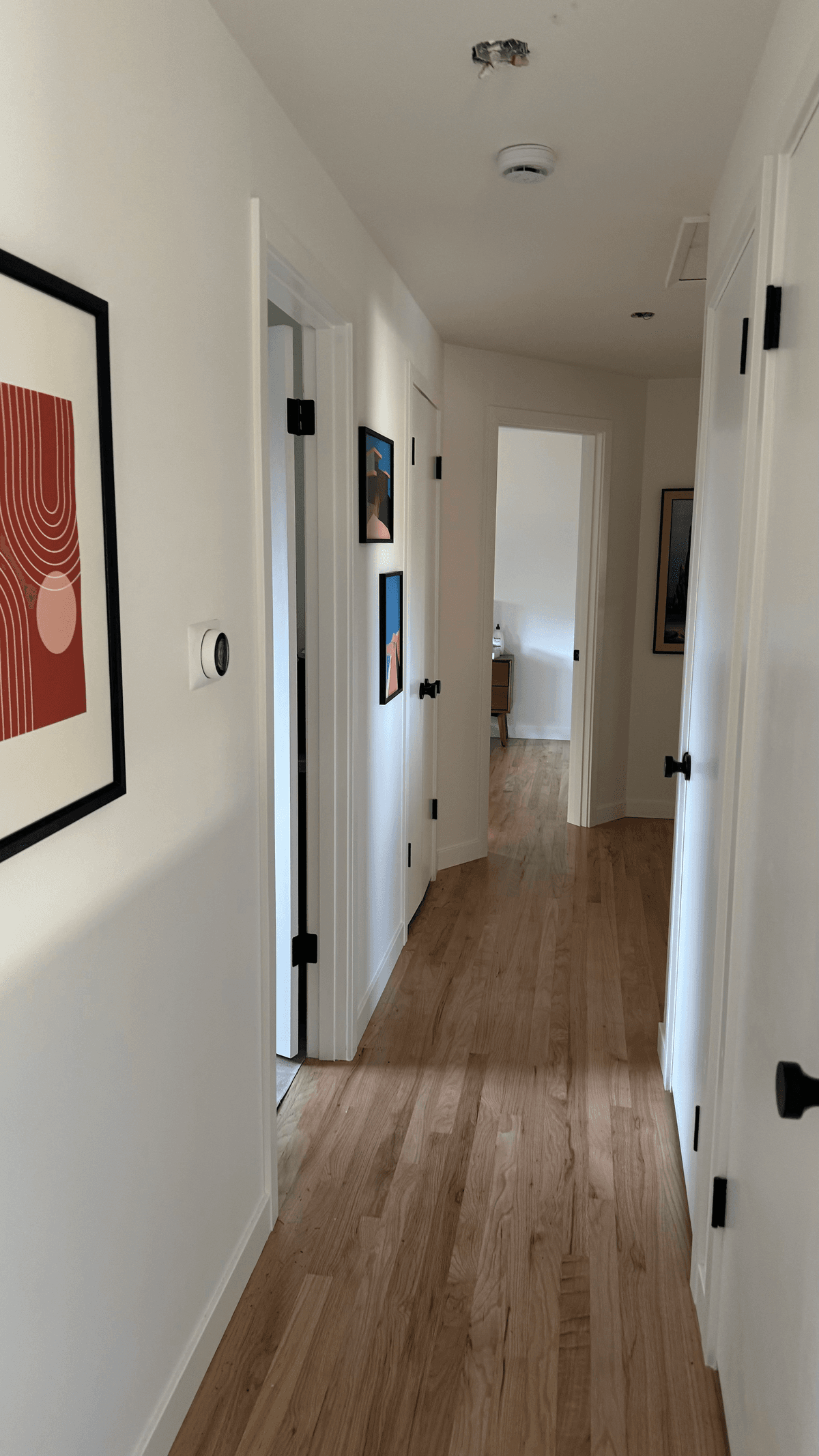 Full House Remodel
