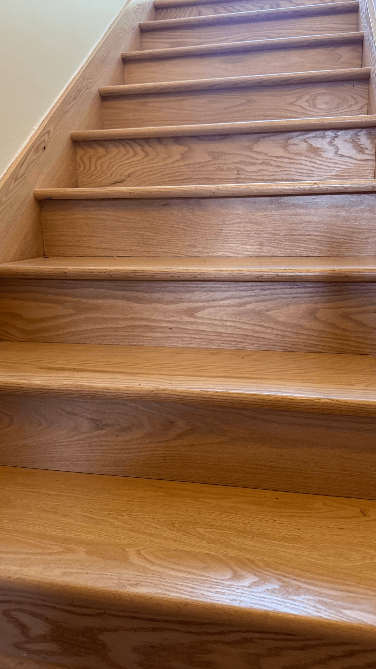Full House Remodel